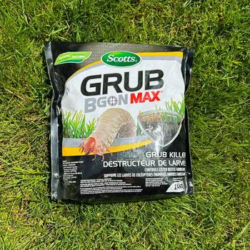 grubbgone