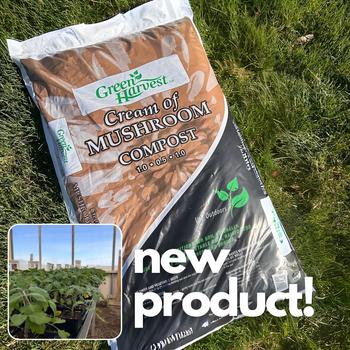 mushroom compost