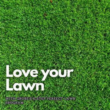 lawn care