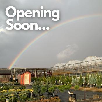 opening soon