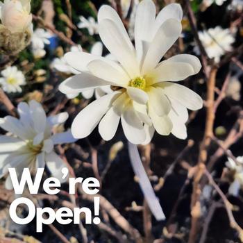 open!