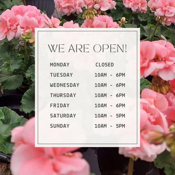 summer hours